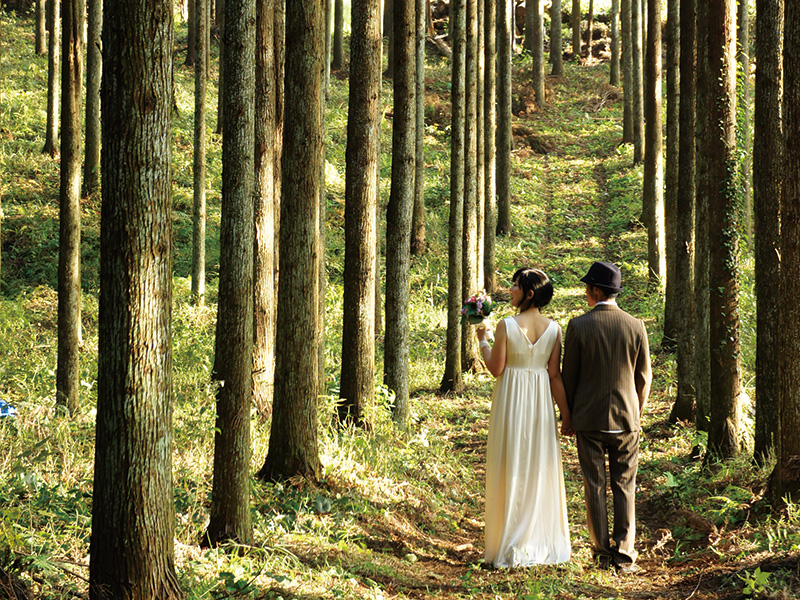 森の中で結婚式 アウトドアウェディングや音楽イベント開催で地域活性化につなげる フォレストジャーナル